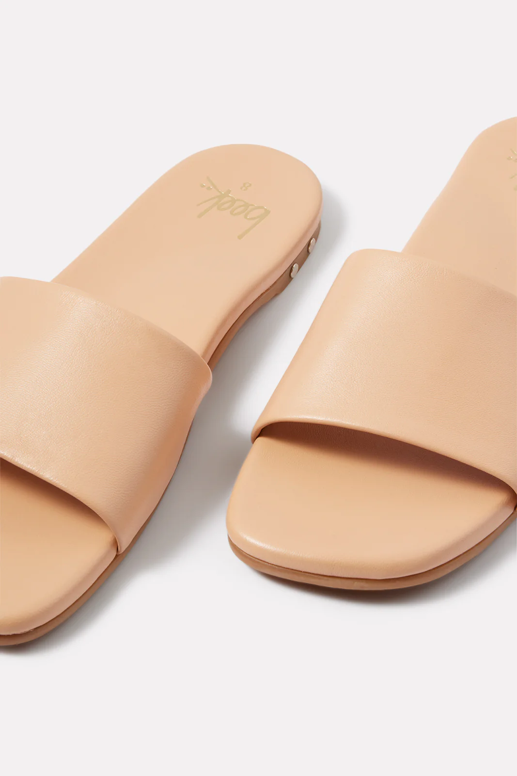 HoneyBird Slide - Image 5