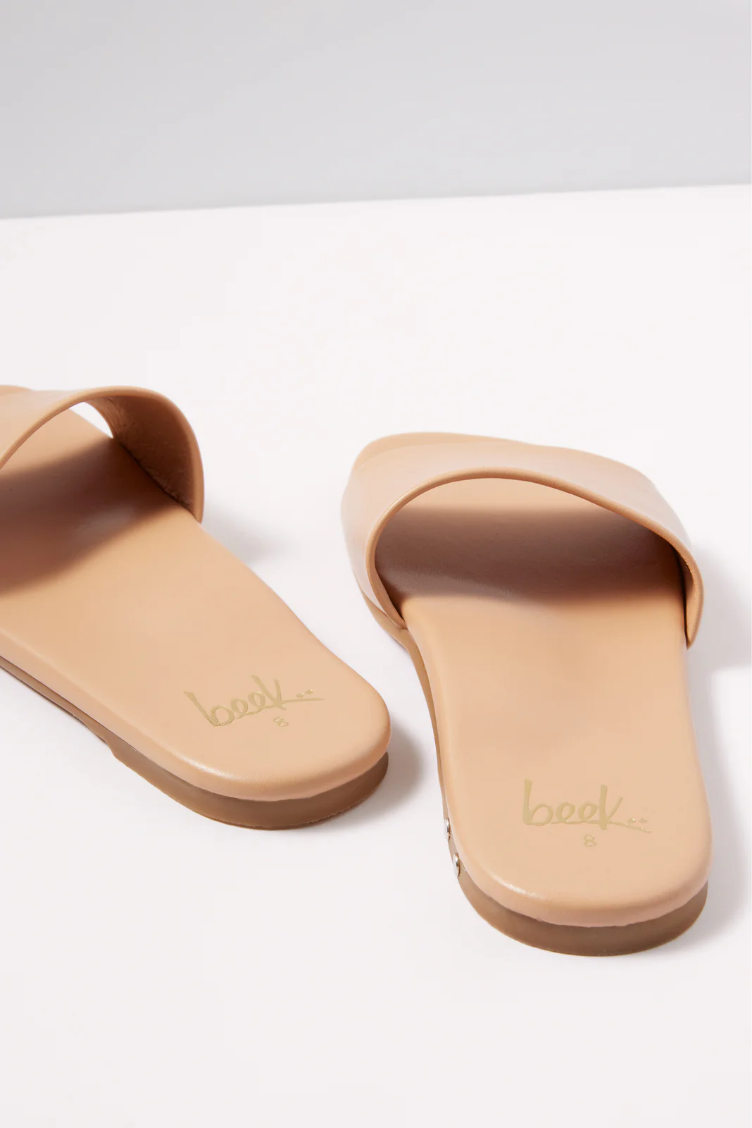 HoneyBird Slide - Image 6