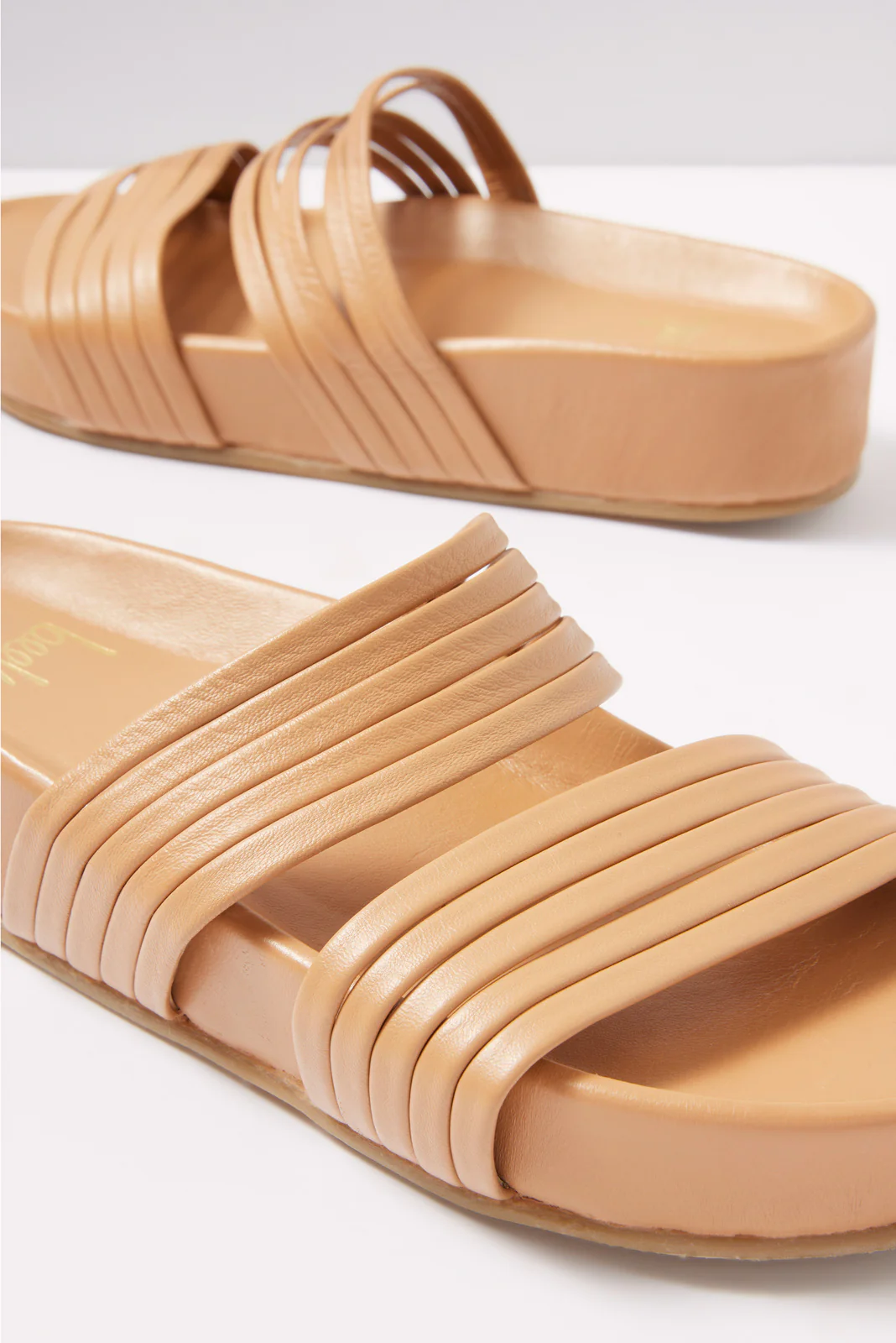 Macaw Flatform - Image 3